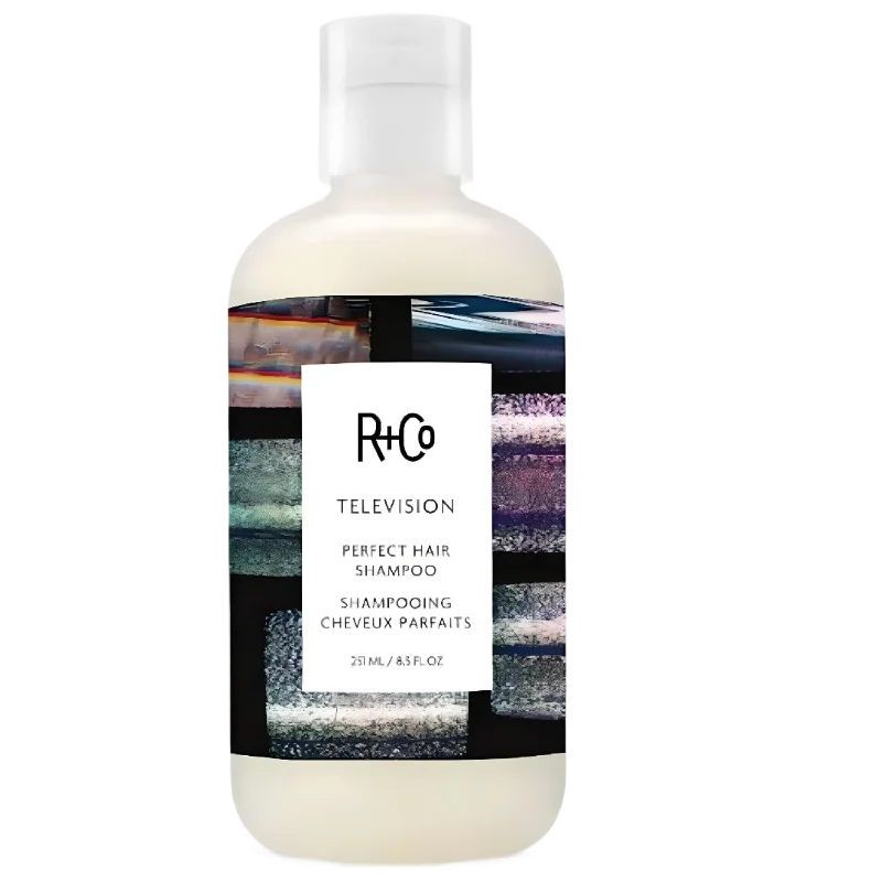 R+Co TELEVISION Perfect Hair Shampoo